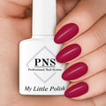 PNS My Little Polish Shiraz