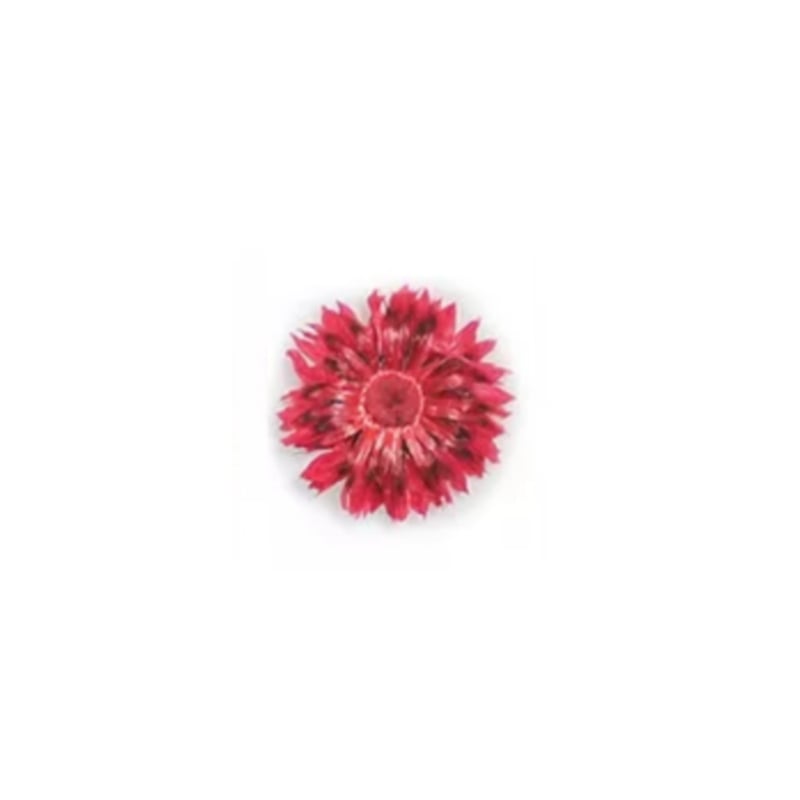 PNS Droog Bloemen DB-40