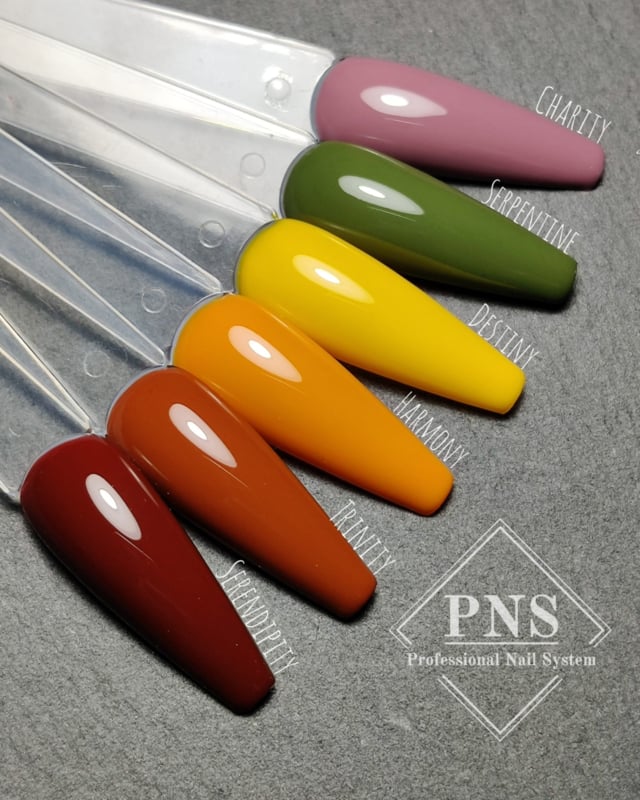 PNS My Little Polish Charity