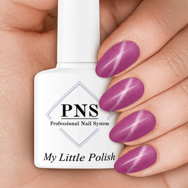 PNS My Little Polish Big Kitty Cats Collection