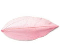 PNS Inlay Leaf 4