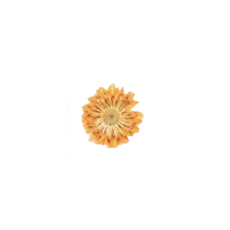 PNS Droog Bloemen DB-34