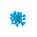 PNS Droog Bloemen DB-07