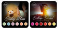 PNS FLYER Teddy Bear/Endless Sunset
