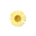 PNS Droog Bloemen DB-15
