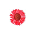 PNS Droog Bloemen DB-18