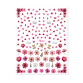 Moyra Water Transfer Sticker No. 15 Dried flowers Pink
