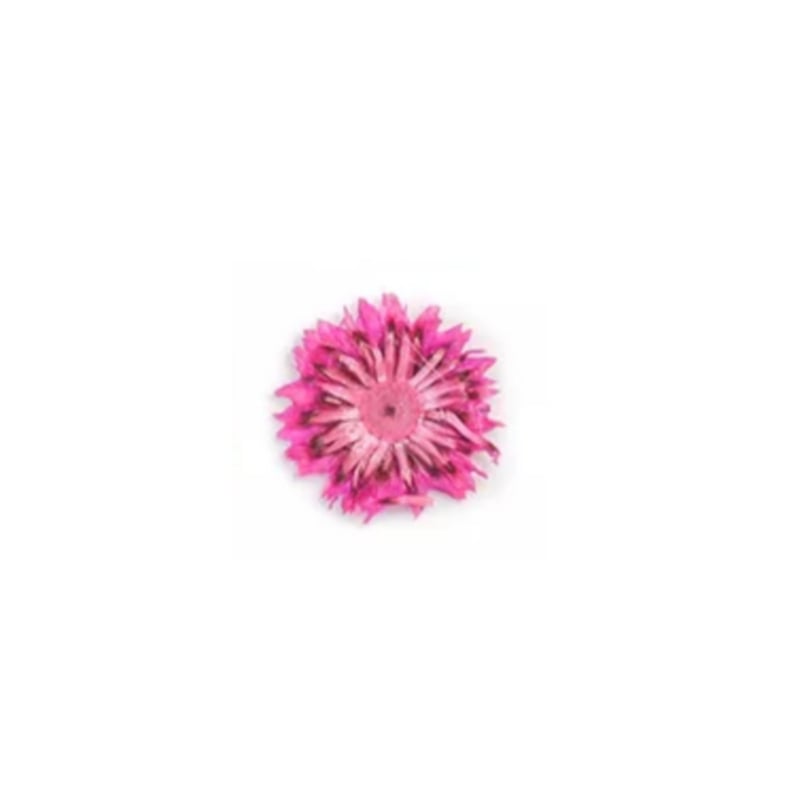 PNS Droog Bloemen DB-38