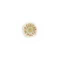 PNS Droog Bloemen DB-32