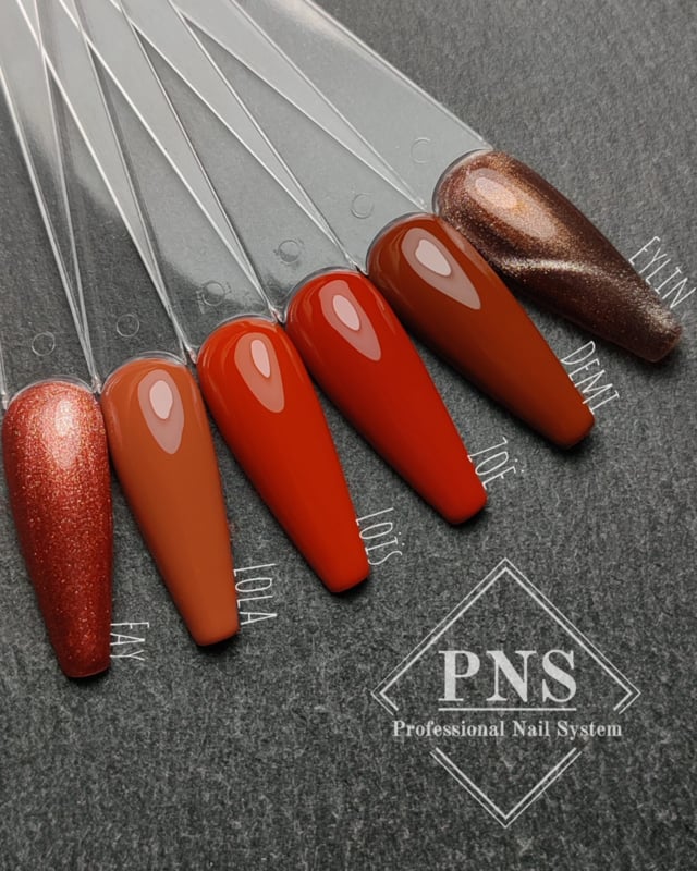 PNS My Little Polish Rustic Romance Collection