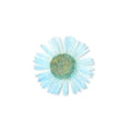 PNS Droog Bloemen DB-16