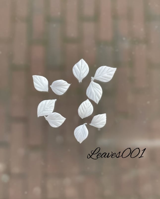 PNS Handgemaakte Acryl 3D Bloemen leaves 001