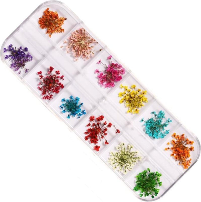 PNS Droog Bloemen Set