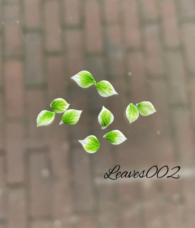 PNS Handgemaakte Acryl 3D Bloemen leaves 002