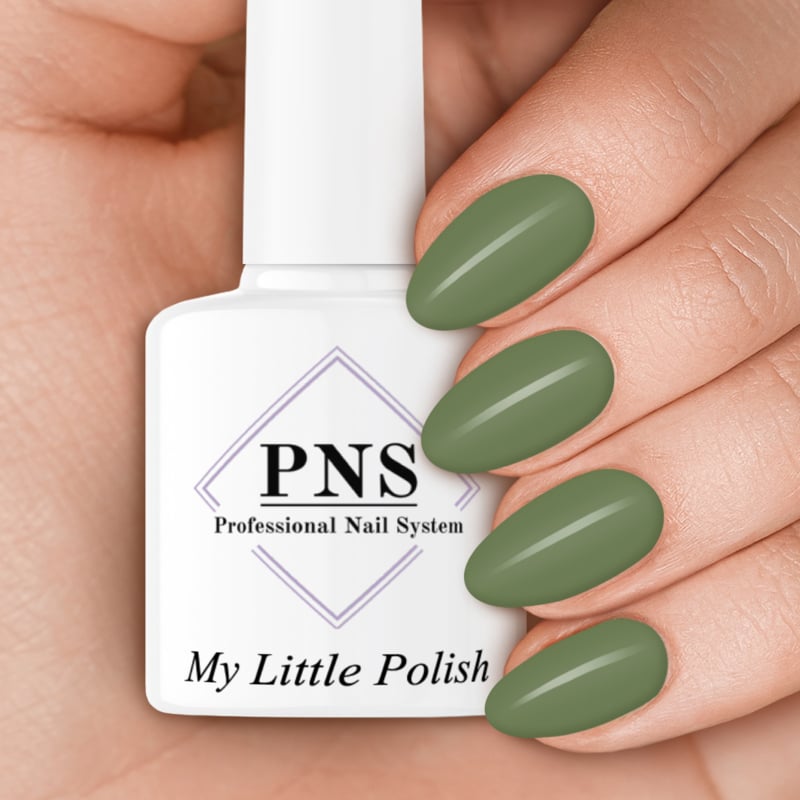 PNS My Little Polish Militairy Collection