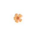 PNS Dried Flowers DB-22
