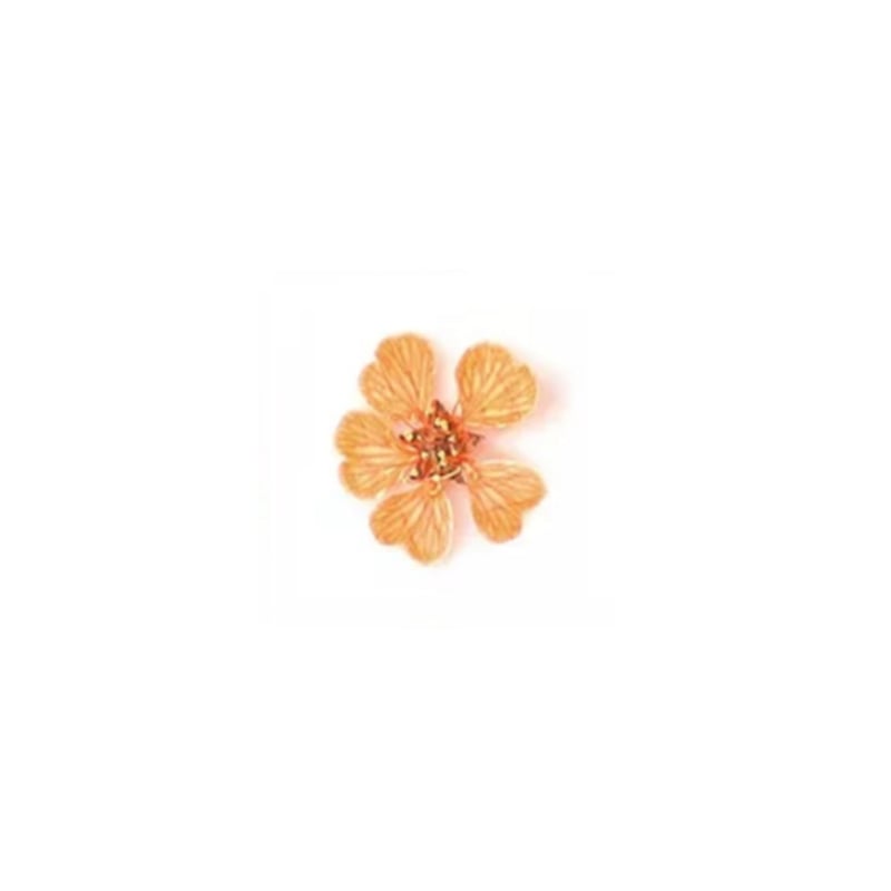 PNS Droog Bloemen DB-22