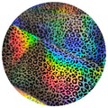 PNS Foil Design 14
