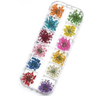 PNS Droog Bloemen Set