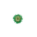 PNS Droog Bloemen DB-36